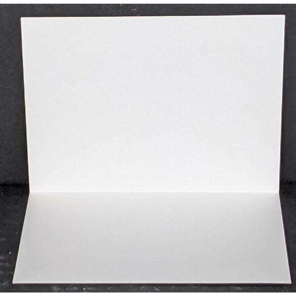 Wild Bird Notecards Blank LOT OF 13 Some Duplicates 4.25 x 5.5" White Envelopes - Picture 10 of 11